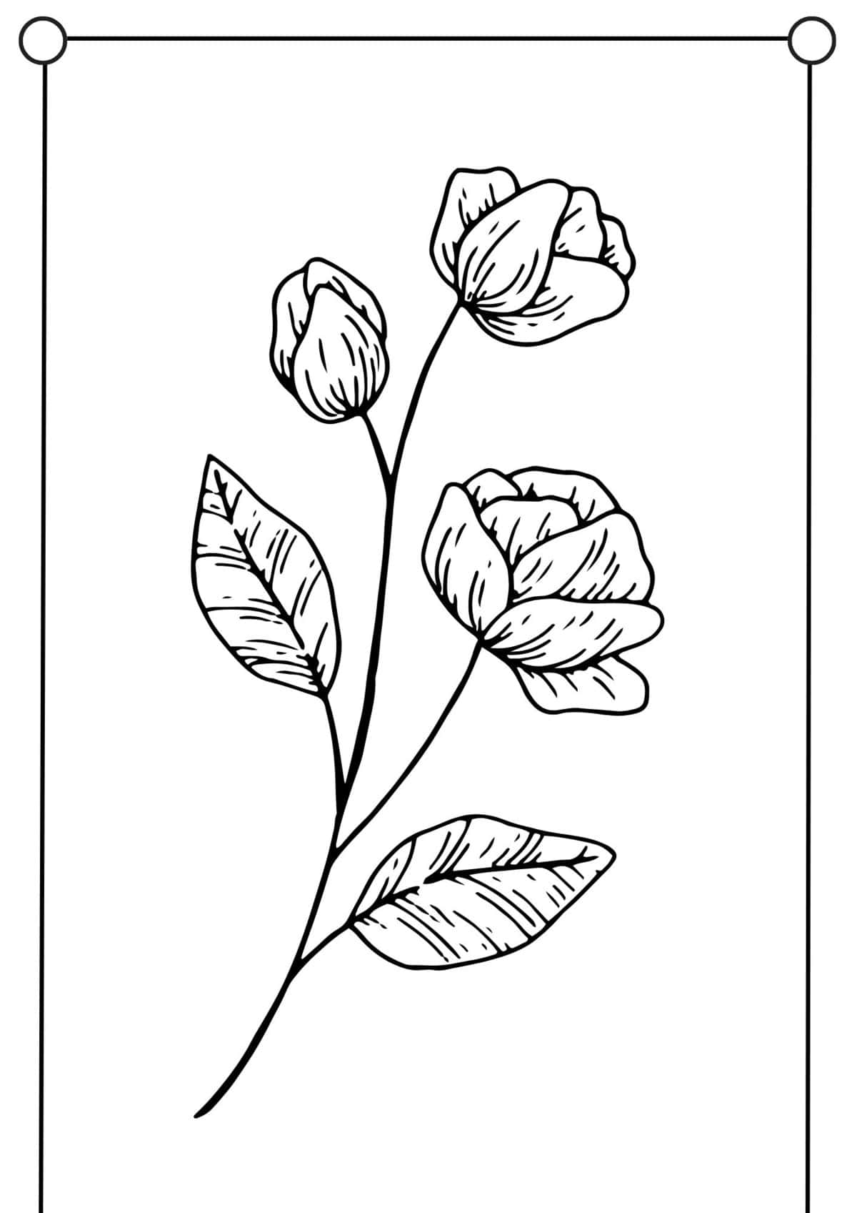 flower-coloring-pages-for-kids-free-printable-coloring-sheets-of-flowers